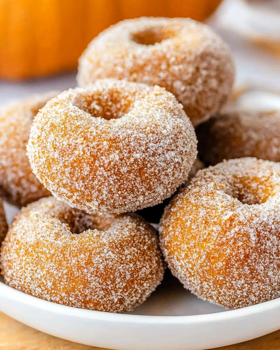 Paleo Pumpkin Donut Holes